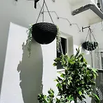 Cool Lofts Alameda 4* Valencia